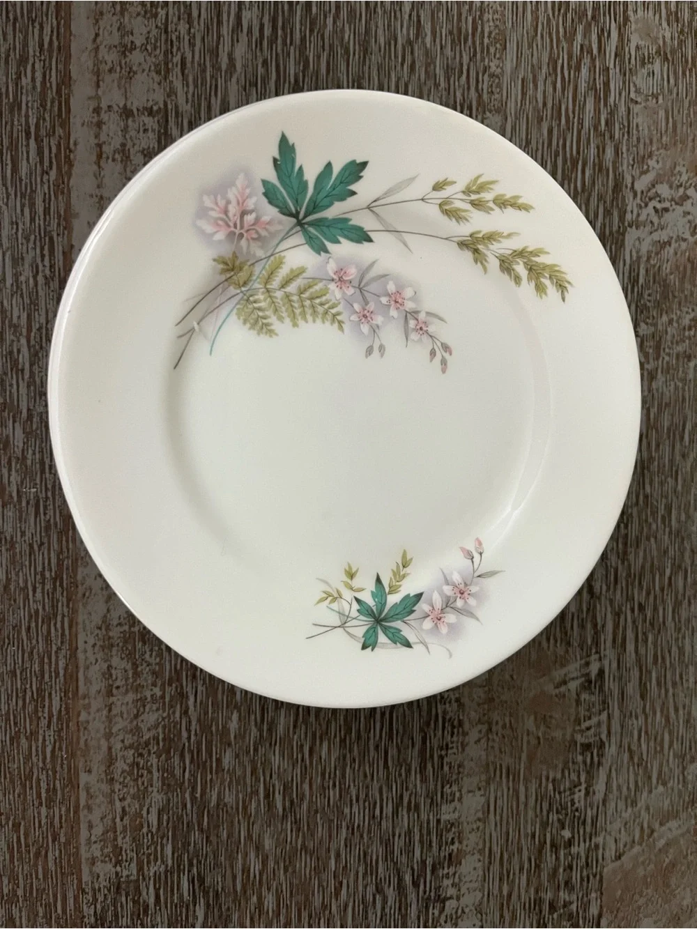Vintage Queen Anne bone china plate in the Louise pattern, set of six